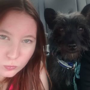 Meet your Posher, Daisy