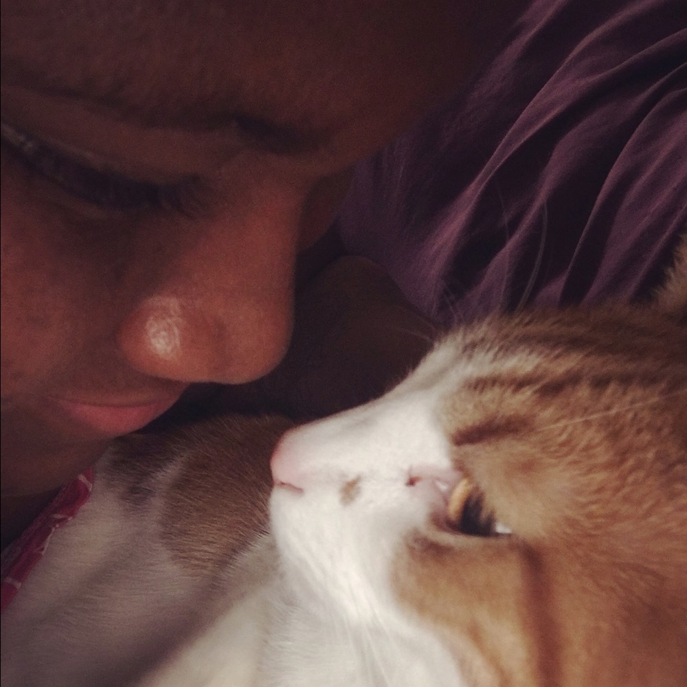 Meet your Posher, Robin - Picture 7 of 8