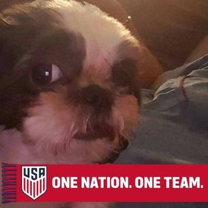 Meet your Posher, Ann