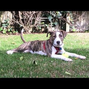 Meet your Posher, Karin