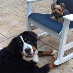 Meet your Posher, Michelle