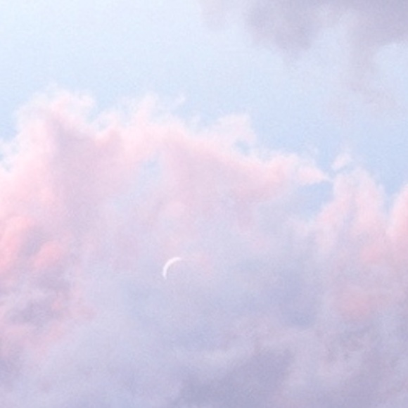 Meet your Posher, Kylee - Picture 1 of 1