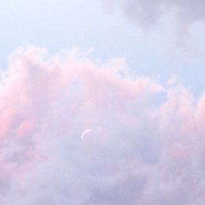 Meet your Posher, Kylee