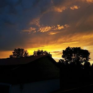 Meet your Posher, Roxannd