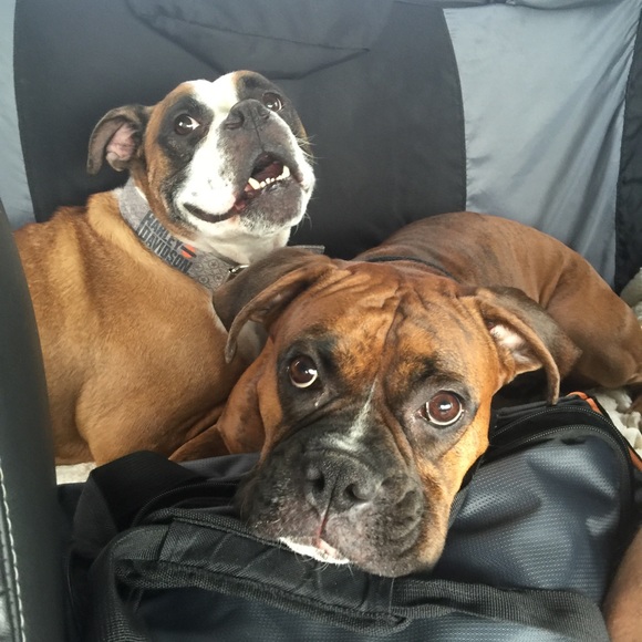 I π to shop! - Picture 3 of 3