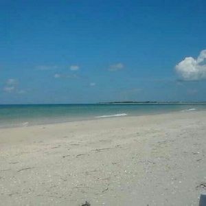 Meet your Posher, Allie