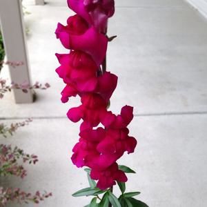 Meet your Posher, Karen