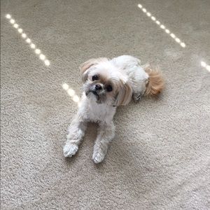 Meet your Posher, Jaime