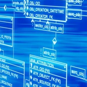 Meet your Posher, Azeem