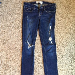 Hollister Jeggins