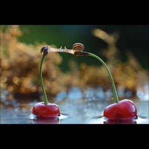 Meet your Posher, Magdalena