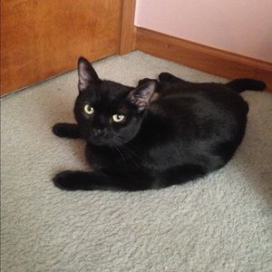 Meet your Posher, Beth