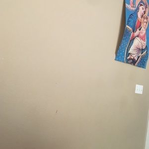 Meet your Posher, Tseday