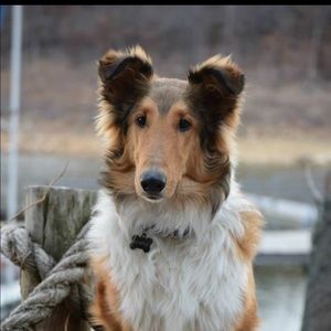 Meet your Posher, Melody