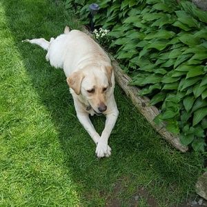 Meet your Posher, Robyn