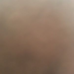 Meet your Posher, Josie