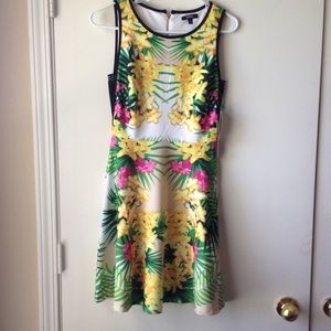 XOXO NWT! Jungle Oasis dress. Never been worn!