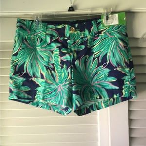 Tiger Palm size 6 callahans