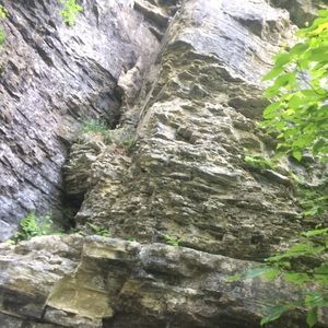 Meet your Posher, Karina