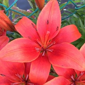 Meet your Posher, Catherine