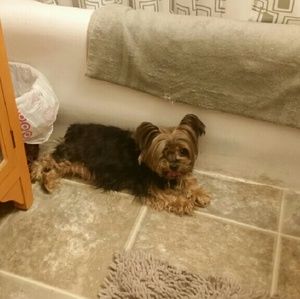 Meet your Posher, Lori