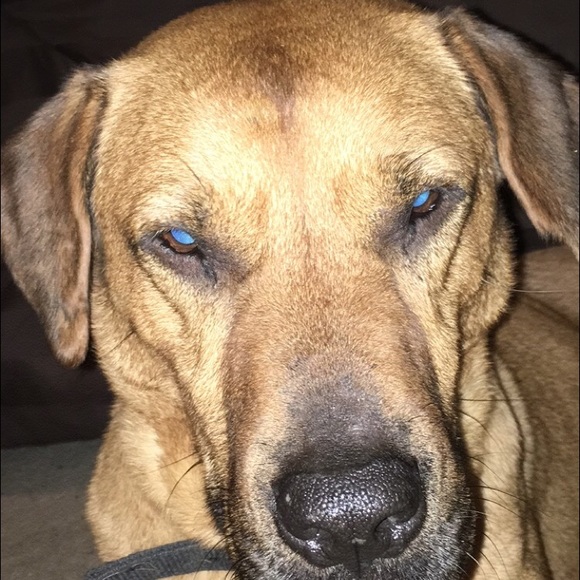 Meet your Posher, Neil