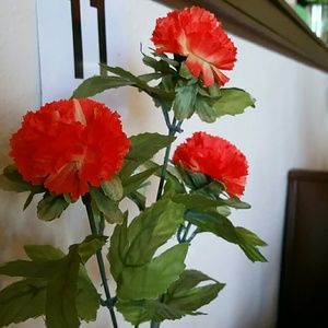 Meet your Posher, Pamela