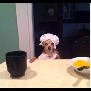 Meet your Posher, Angel