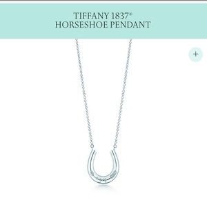 New Tiffany & Co. horseshoe necklace (READ BIO)