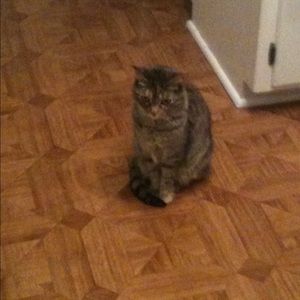 Meet your Posher, Karen