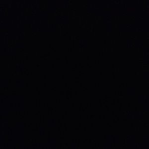 Meet your Posher, Jasmin