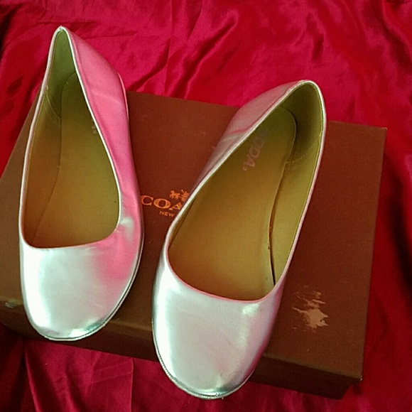 Silver flats