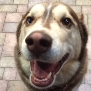 Meet your Posher, Crystal