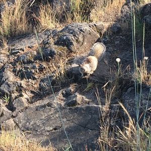 Meet your Posher, Tabitha