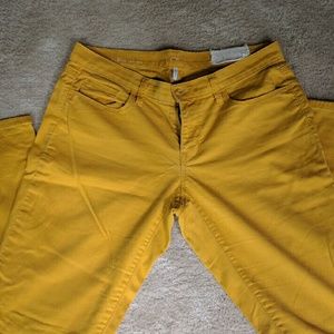 Ann taylor loft skinnys! Mustard color