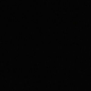 Meet your Posher, Lexi