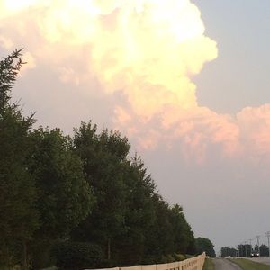 Meet your Posher, Sarvjit