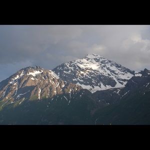 Meet your Posher, Riley