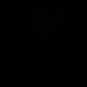 Meet your Posher, Tashana