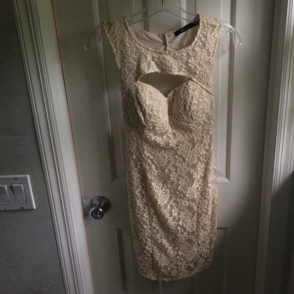 Ark & Co. mini - Picture 1 of 3