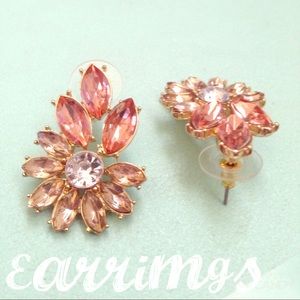 Beautiful Earrings