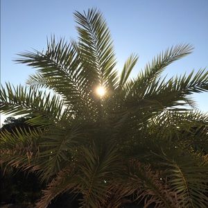 Meet your Posher, Jorden