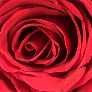 Meet your Posher, Nory