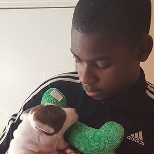 Meet your Posher, Rainfall