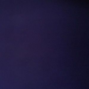 Meet your Posher, Kinslee