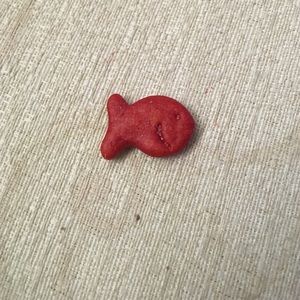 a single goldfish