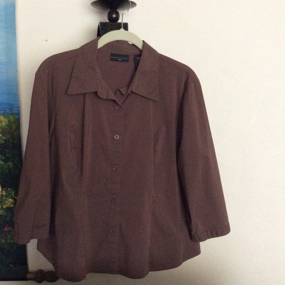 Apostrophe Petite Brown Blouse