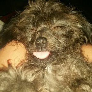 Meet your Posher, Martha