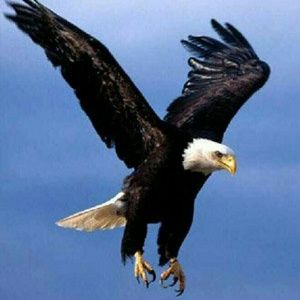 Meet your Posher, Blanca