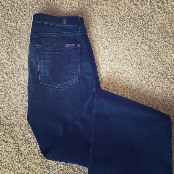 7 for all mankind Dojo Jean